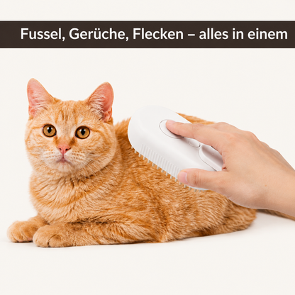 DampfPfote