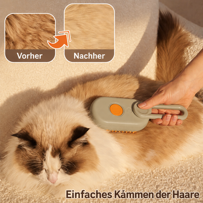 DampfPfote